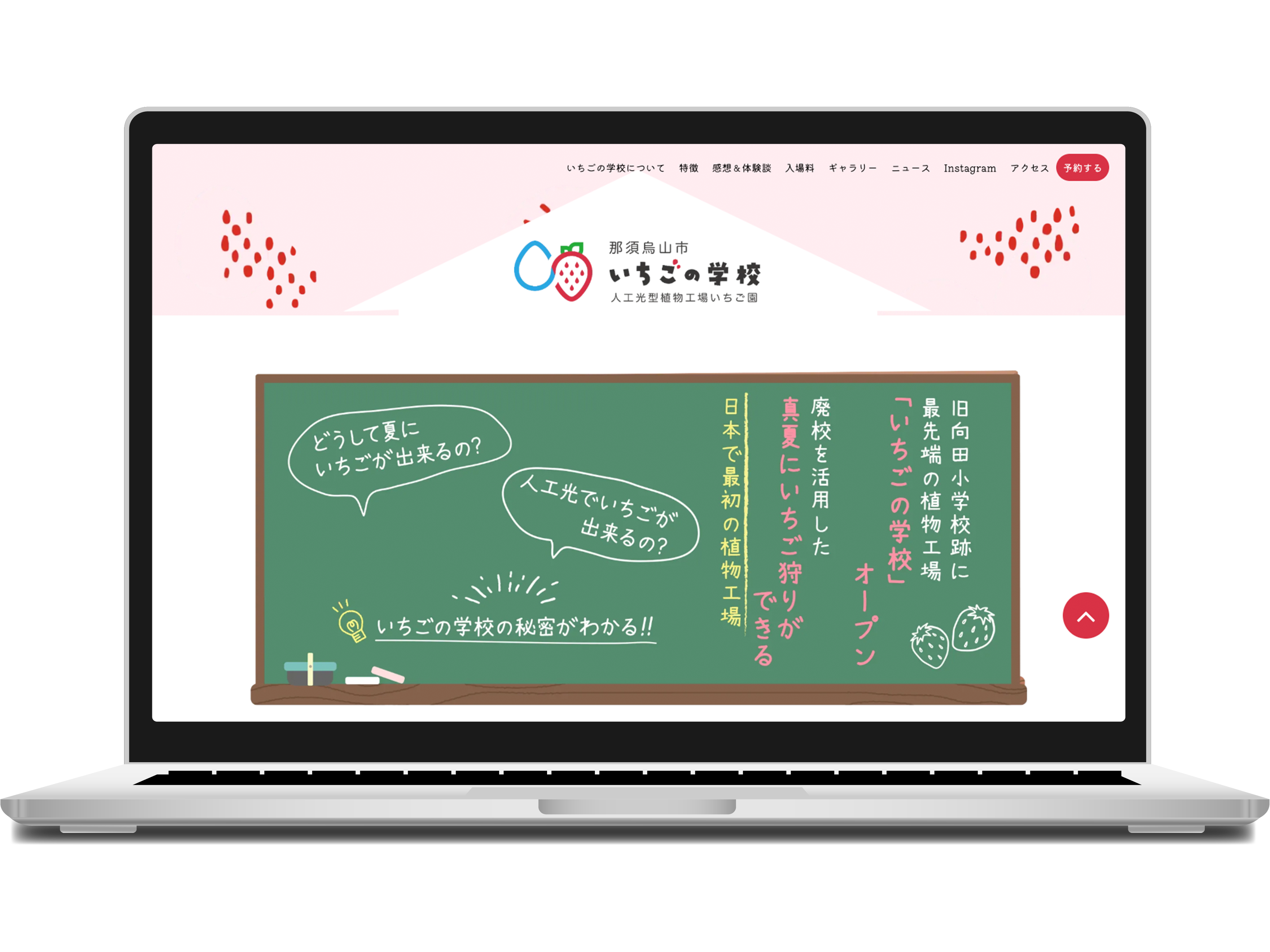 那須鳥山市観光協会いちごの学校